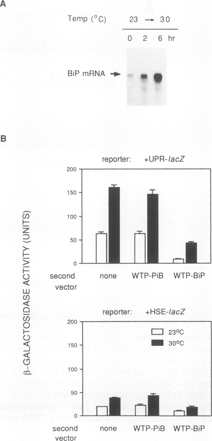 graphic file with name molcellb00014-0170-a.jpg