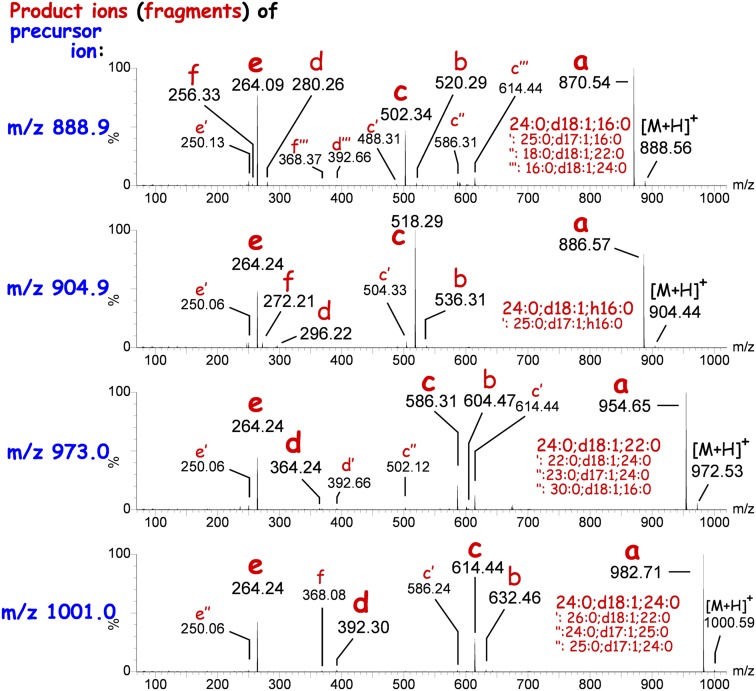 Fig. 2.