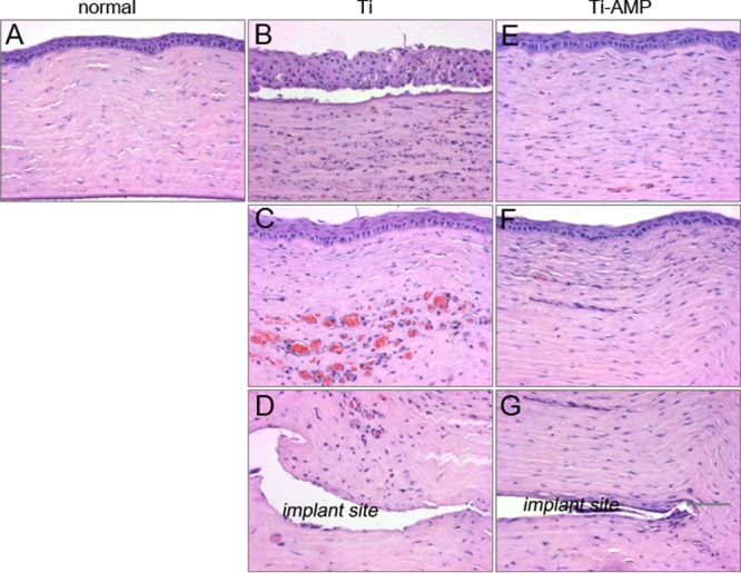 FIG 5