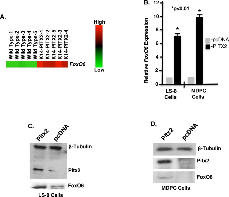 Fig 11