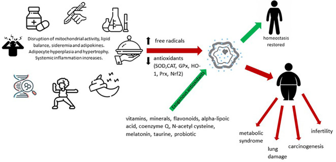 Figure 1