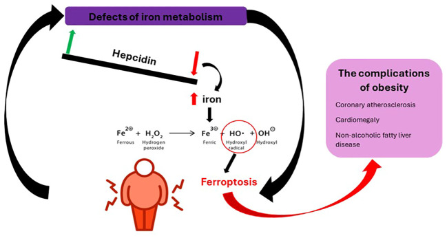 Figure 6