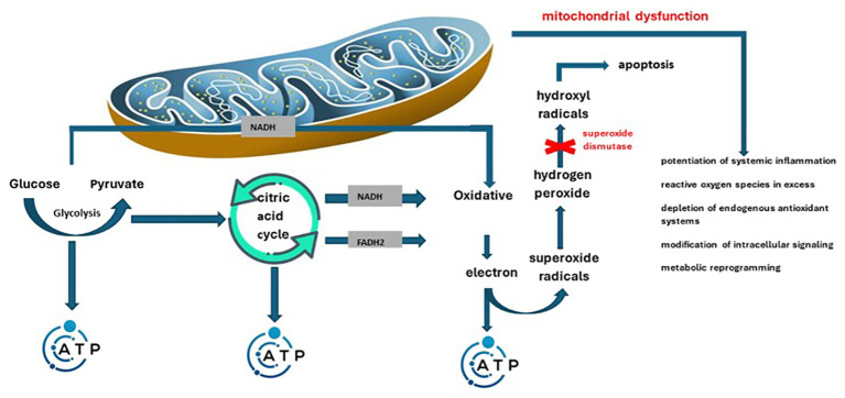 Figure 2