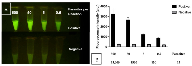 Figure 9