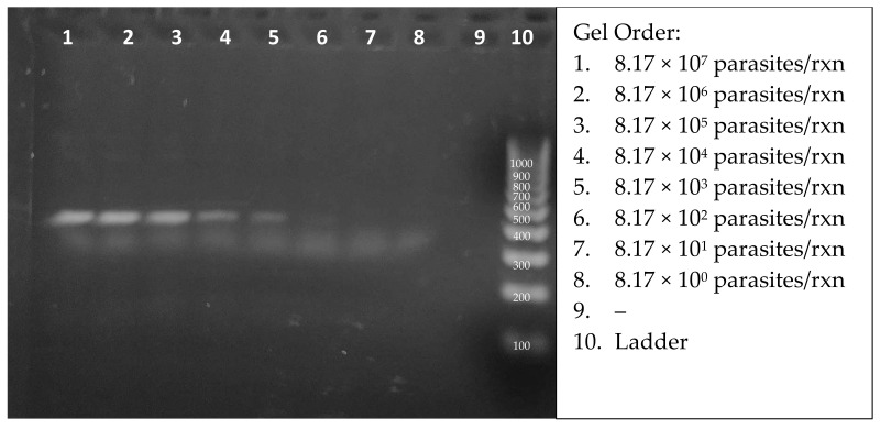 Figure 6