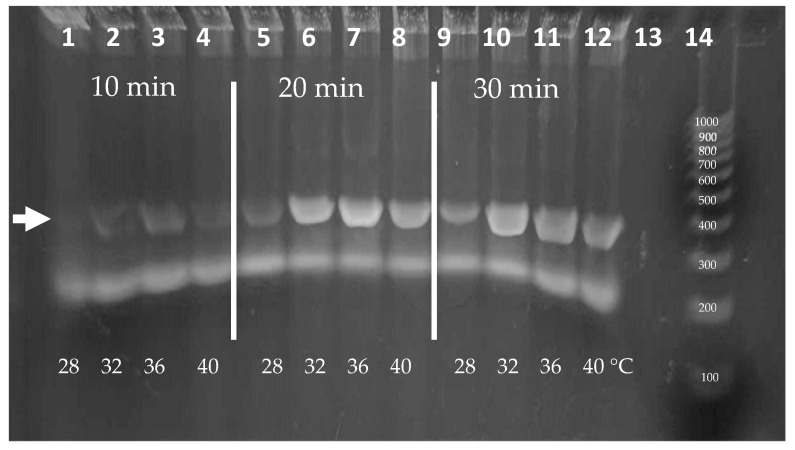 Figure 7