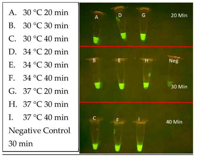 Figure 12