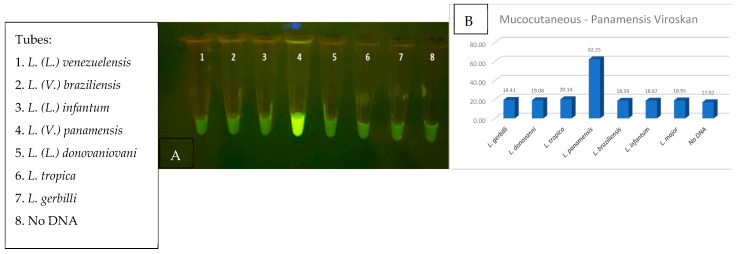 Figure 13