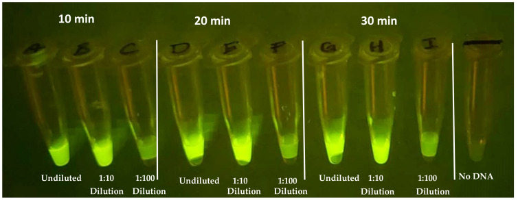 Figure 10