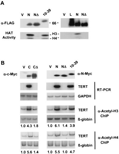 FIG. 6.