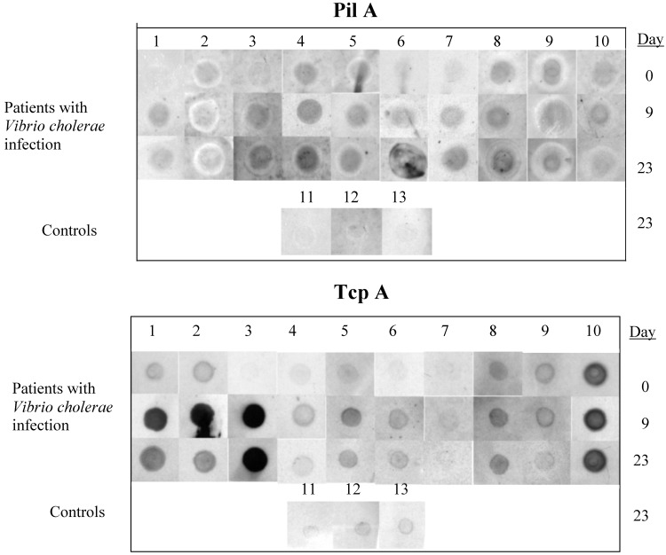 Fig. 3.