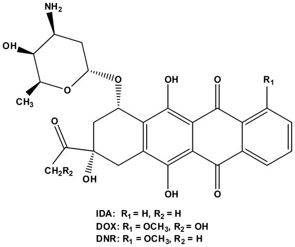 Anthracycline Nano-Delivery Systems to Overcome Multiple Drug ...