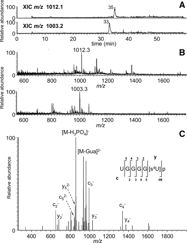 FIGURE 5.