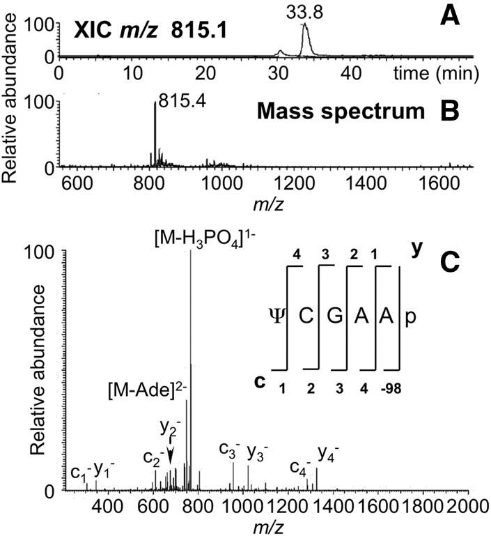 FIGURE 7.