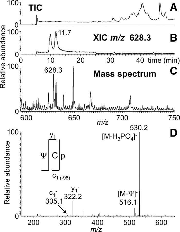 FIGURE 2.