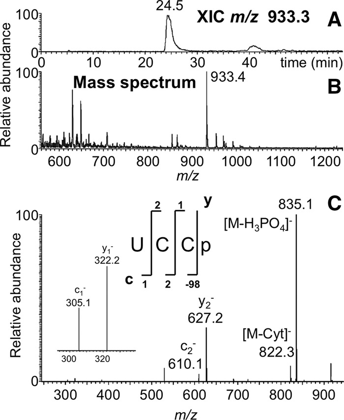 FIGURE 3.