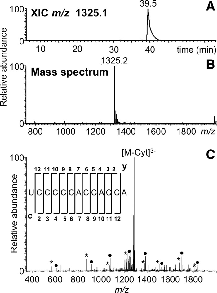 FIGURE 4.