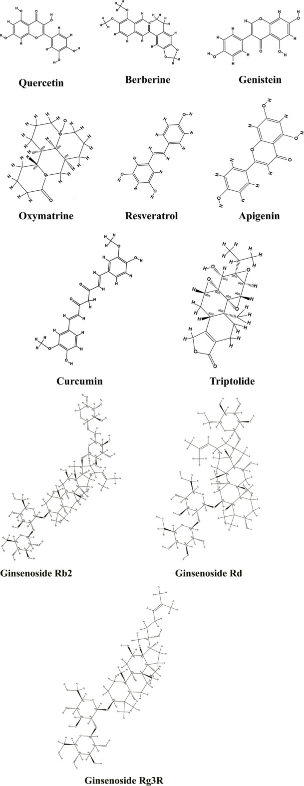 FIGURE 2