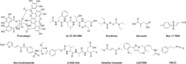 Figure 4