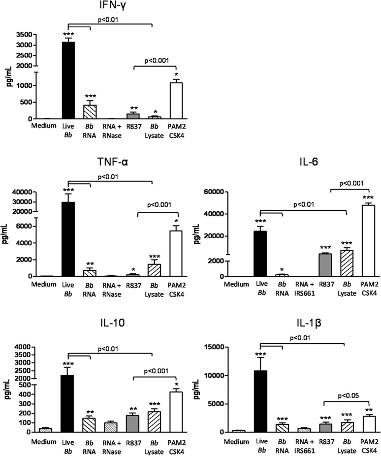 FIG 6