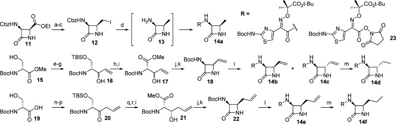 Scheme 3