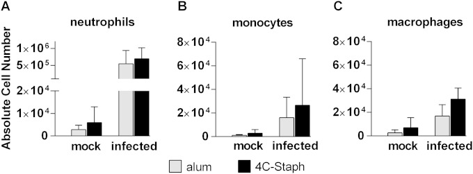 FIG 2