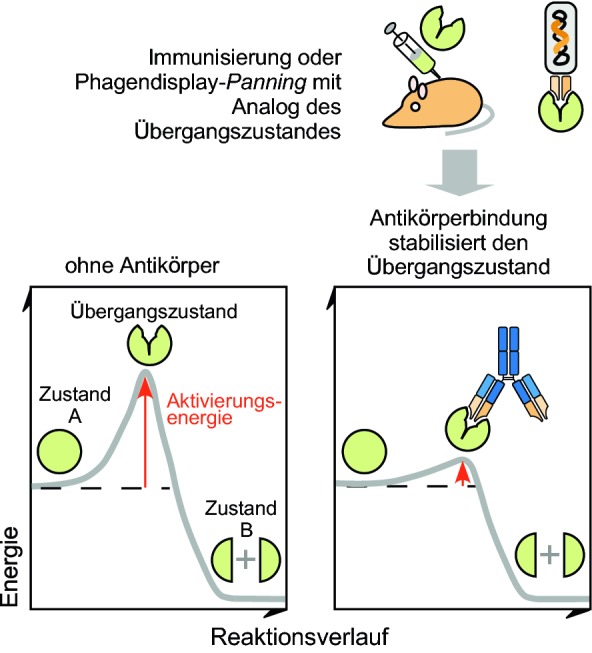 graphic file with name 154995_2_De_5_Fig1_HTML.jpg