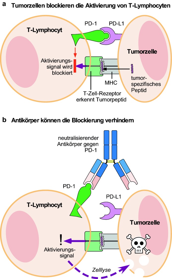 graphic file with name 154995_2_De_5_Fig5_HTML.jpg