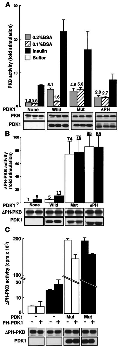 FIG. 6