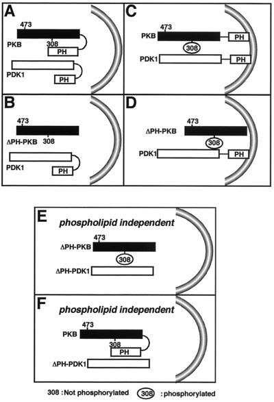 FIG. 7