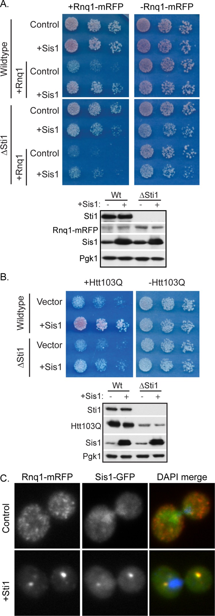 FIGURE 7: