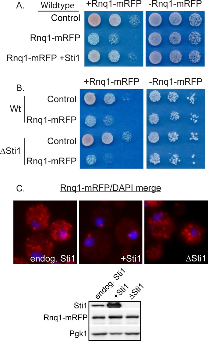 FIGURE 3: