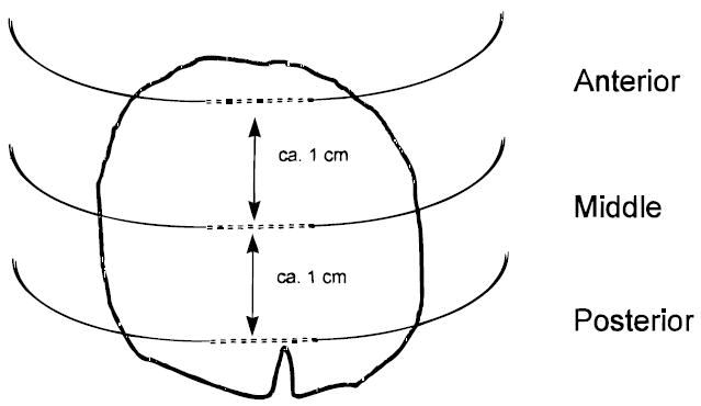 Figure 8