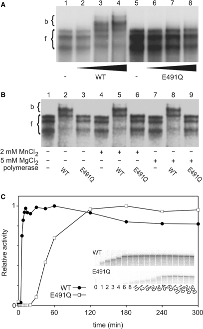 Figure 4.