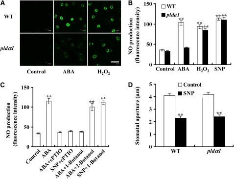 Figure 12.