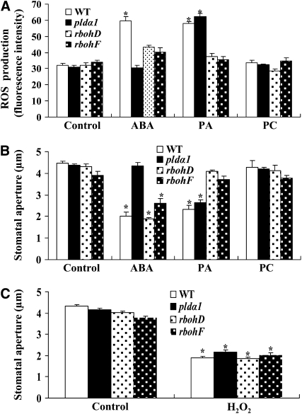 Figure 11.