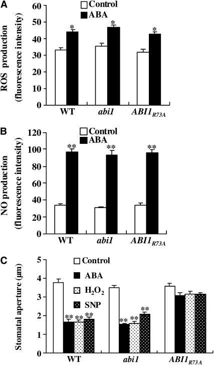 Figure 13.