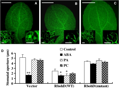 Figure 10.