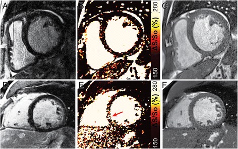 Fig. 8