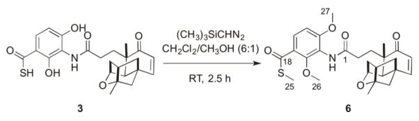 Scheme 1