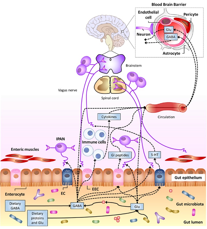 FIGURE 3