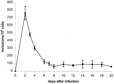 FIG. 6