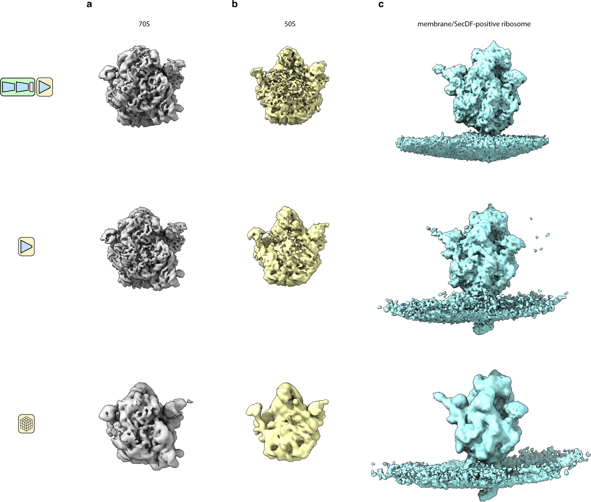 Extended Data Fig. 6