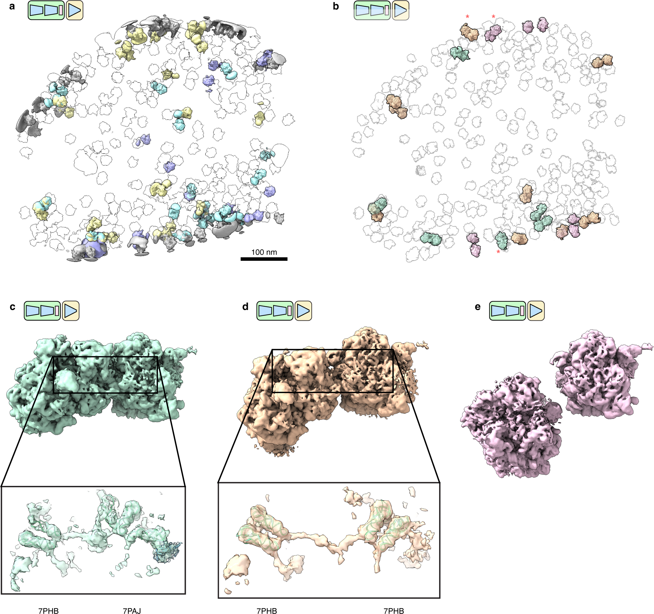 Extended Data Fig. 5