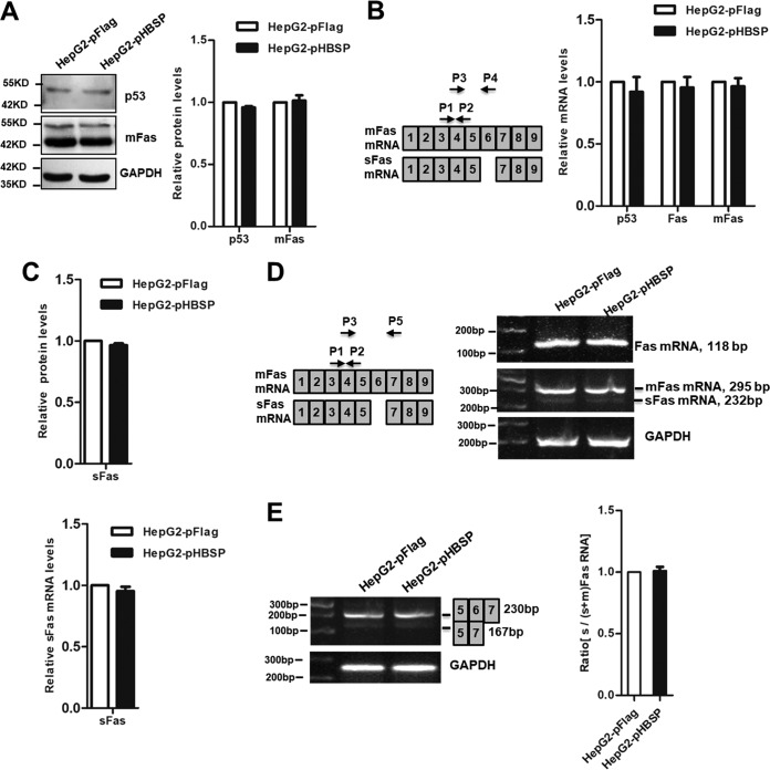 FIG 2