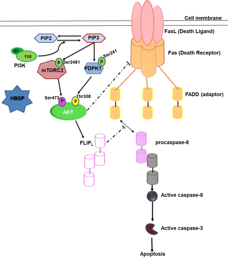 FIG 7