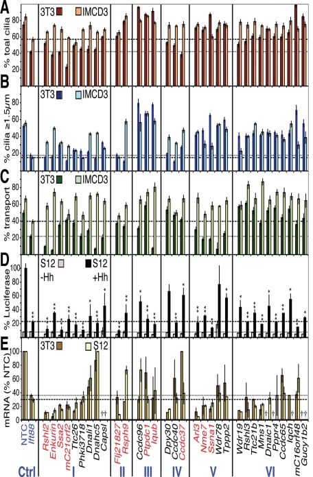 FIGURE 2: