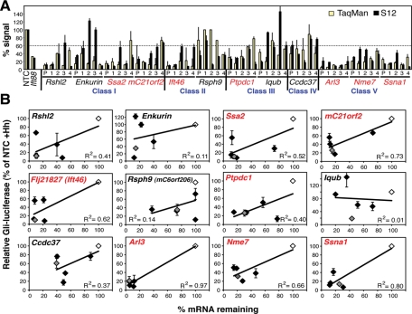 FIGURE 3: