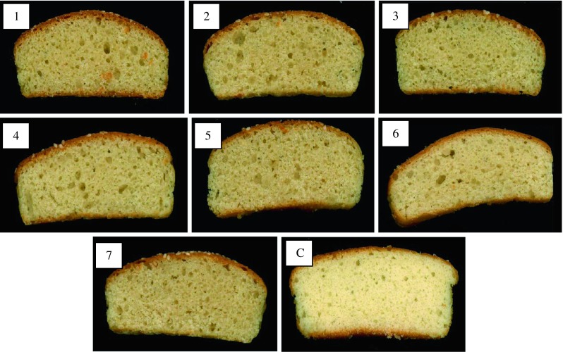 Fig. 6