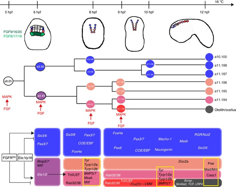 Figure 10